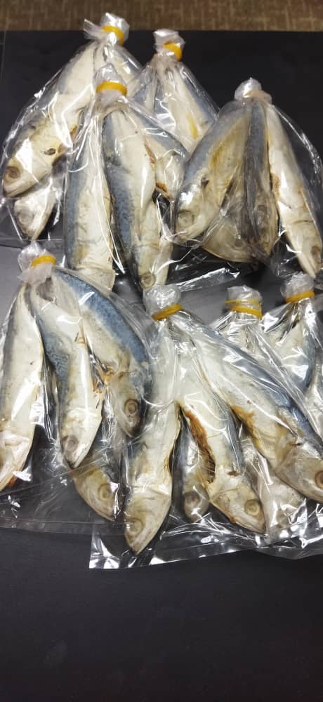 Ikan Kembong