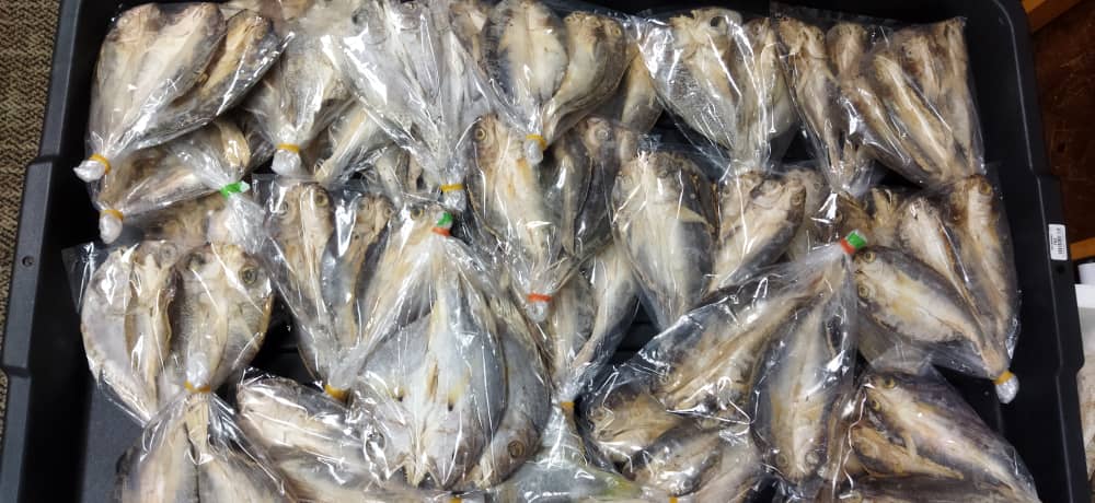 Ikan Anjang Anjang